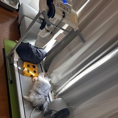 無料】折りたたみ式ルームランナー（保護マット付き）