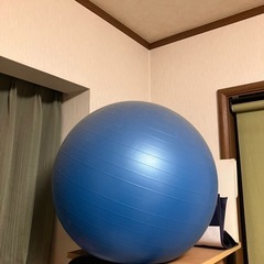 あなたは何秒乗れる？体幹が鍛えられる　バランスボール