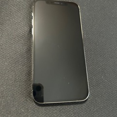【新品未使用】【値下げ】iPhone12pro 本体
バッテリー100 SIMフリー 本体 256GBの画像