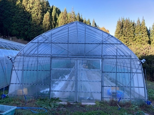 ビニールハウスの骨組み