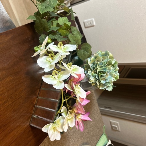 観葉植物