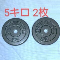 プレート 5㌔✕2枚です