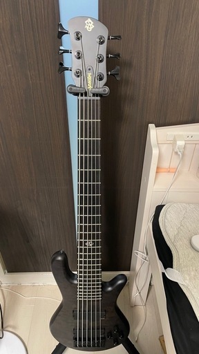 弦楽器、ギター Spector NS Pulse 6 II / Black Stain