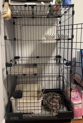 2段猫ゲージ