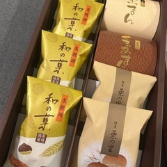 格安❗️カーブスプロテインレモン味5袋 (縫い子のおるちゃん) 北巽の 