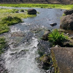 【ランニング】江津湖でランニング！散歩でも - 熊本市