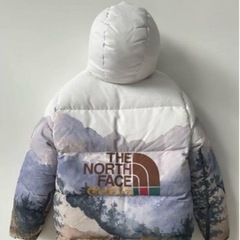 GUCCI THE NORTH FACE ダウン　の画像