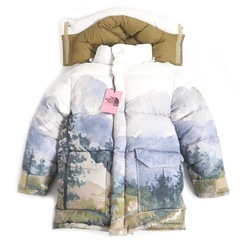 GUCCI THE NORTH FACE ダウン　