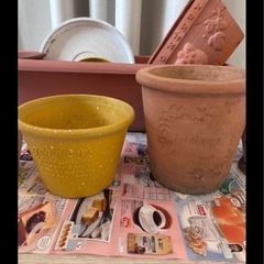 決まりました！鉢植えプランターまとめてセット🪴の画像