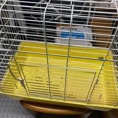 フェレット　などのゲージ