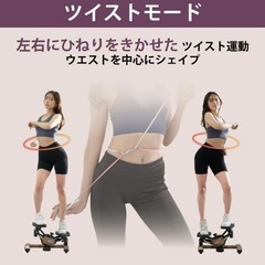 Re OASISエアロステッパー Premium プレミアム