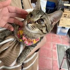 🧡動画付き🧡ハンデがあるからこそ幸せになって欲しい☺️