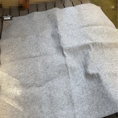 【汚れあり】ホットカーペットの画像