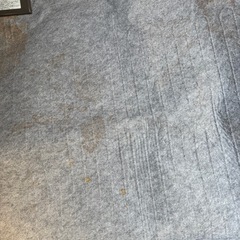 【汚れあり】ホットカーペットの画像