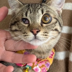 🧡動画付き🧡ハンデがあるからこそ幸せになって欲しい☺️ − 福岡県