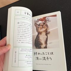 ニャンとかなる！の画像