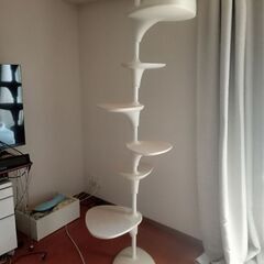 キャットタワーOppo