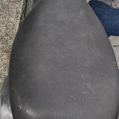 中古スズキ　レッツ2  50ccの画像