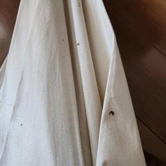 ⛱️ガーデンパラソルの画像