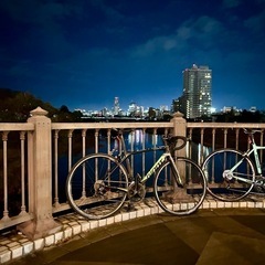 giant TCR 
ADVANCED 2の画像