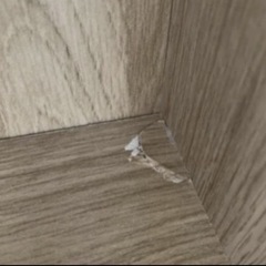 本棚の画像