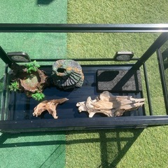 ☆決まりました☆爬虫類飼育セット、爬虫類ケース、パンテオンの画像