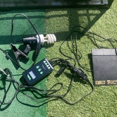 ☆決まりました☆爬虫類飼育セット、爬虫類ケース、パンテオンの画像