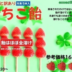 訳あり 冷凍フルーツ飴5本入り 3種入荷