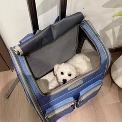 新品未使用✨️カーキブラウン色✨️キャスター付きペット キャリーケース リュックサック ペットカート キャリーバッグの画像