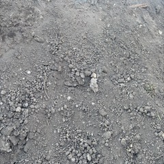 残土:引き取り限定の画像