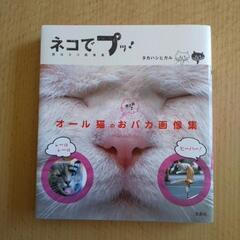 にゃんこ🐾写真集など　4冊まとめての画像