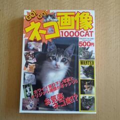 にゃんこ🐾写真集など　4冊まとめての画像
