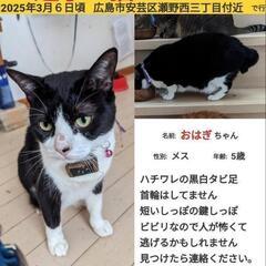 探してます。見かけたら連絡ください。
