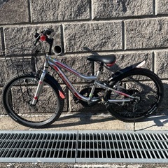 子ども用自転車 22型 イオンバイク 赤/銀の画像
