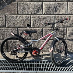 子ども用自転車 22型 イオンバイク 赤/銀の画像