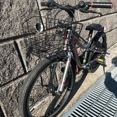 子ども用自転車 22型 イオンバイク 赤/銀の画像