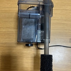 濾過器