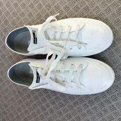 モズ　レインスニーカー　LL 24.5