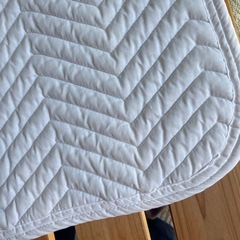 ベッドパット　2枚セットの画像