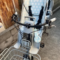 盛永省治 ファットプレート けやき材 特大サイズ 高さ：約 3.5cm