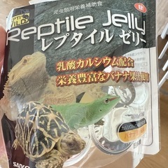 爬虫類ゼリー