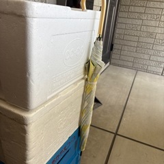 w.p.cの日傘
の画像