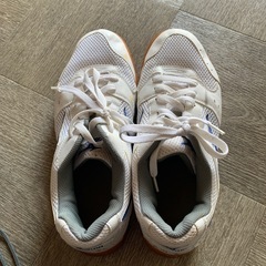 体育館シューズ