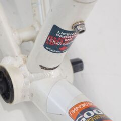 LOUIS GARNEAU 「ルイガノ」 R2200 2004年モデル フレームセットの画像