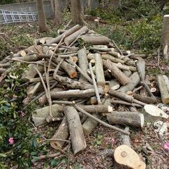 薪　伐採木　無料の画像