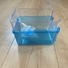 小鳥の快適バスタイムの画像