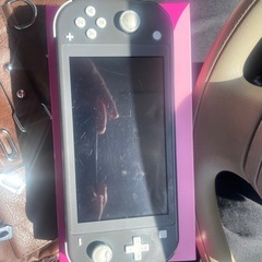 決まりました。Switchライト