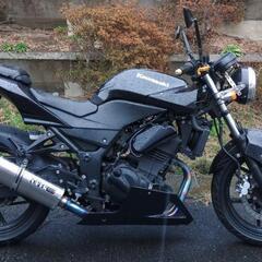 ニンジャ250R　後期型　ネイキッド仕様　(No.2348)