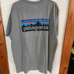 Patagoniaの画像