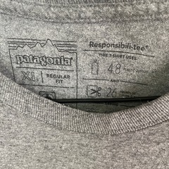 Patagoniaの画像